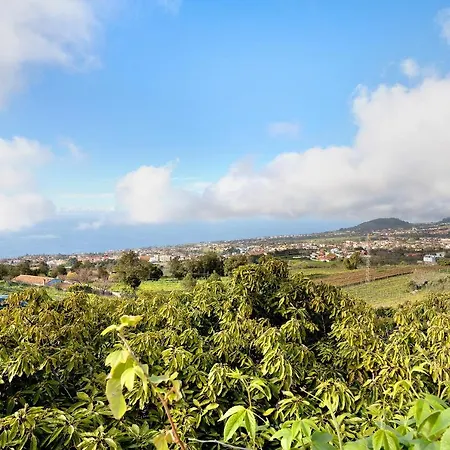 Casa Andrea * Tacoronte